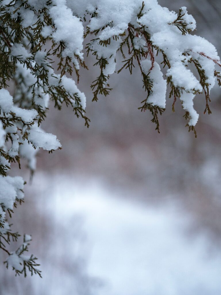 WINTER STORM LANDON - BLOW BY BLOW